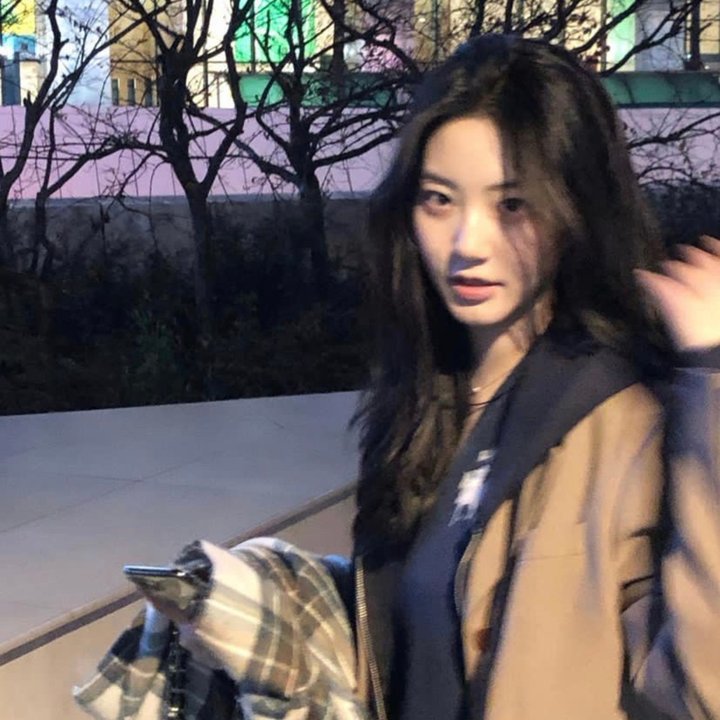 登陆月球